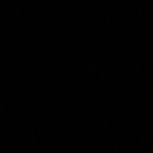 Meet your Posher, Breonna